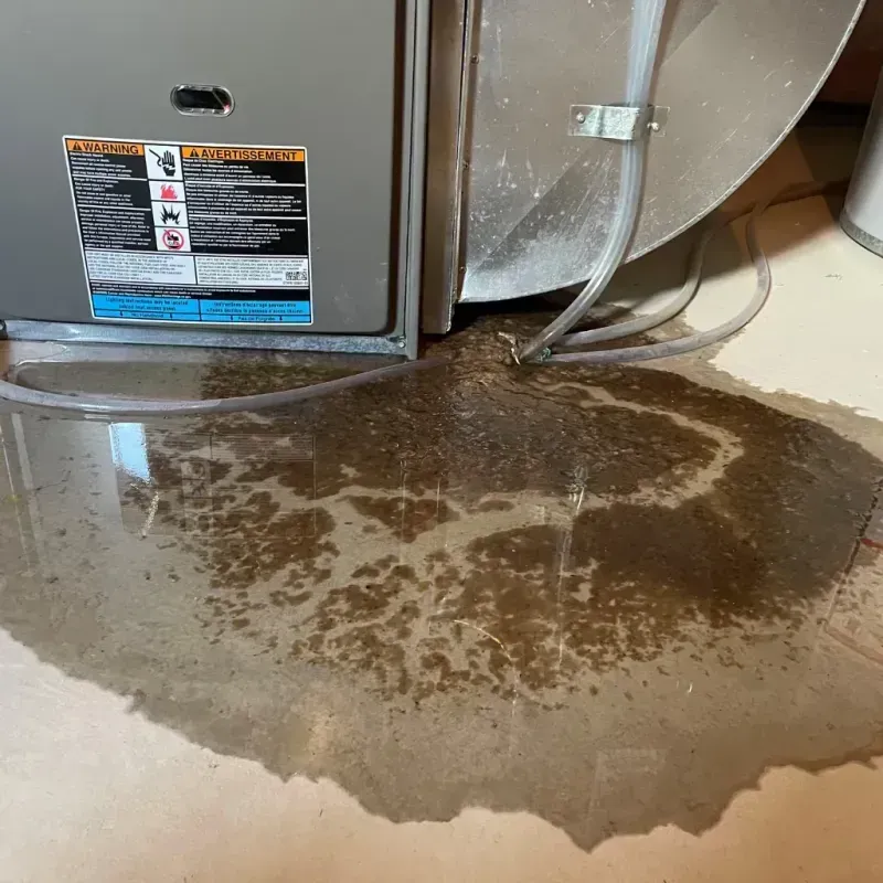 Appliance Leak Cleanup in Clare, MI